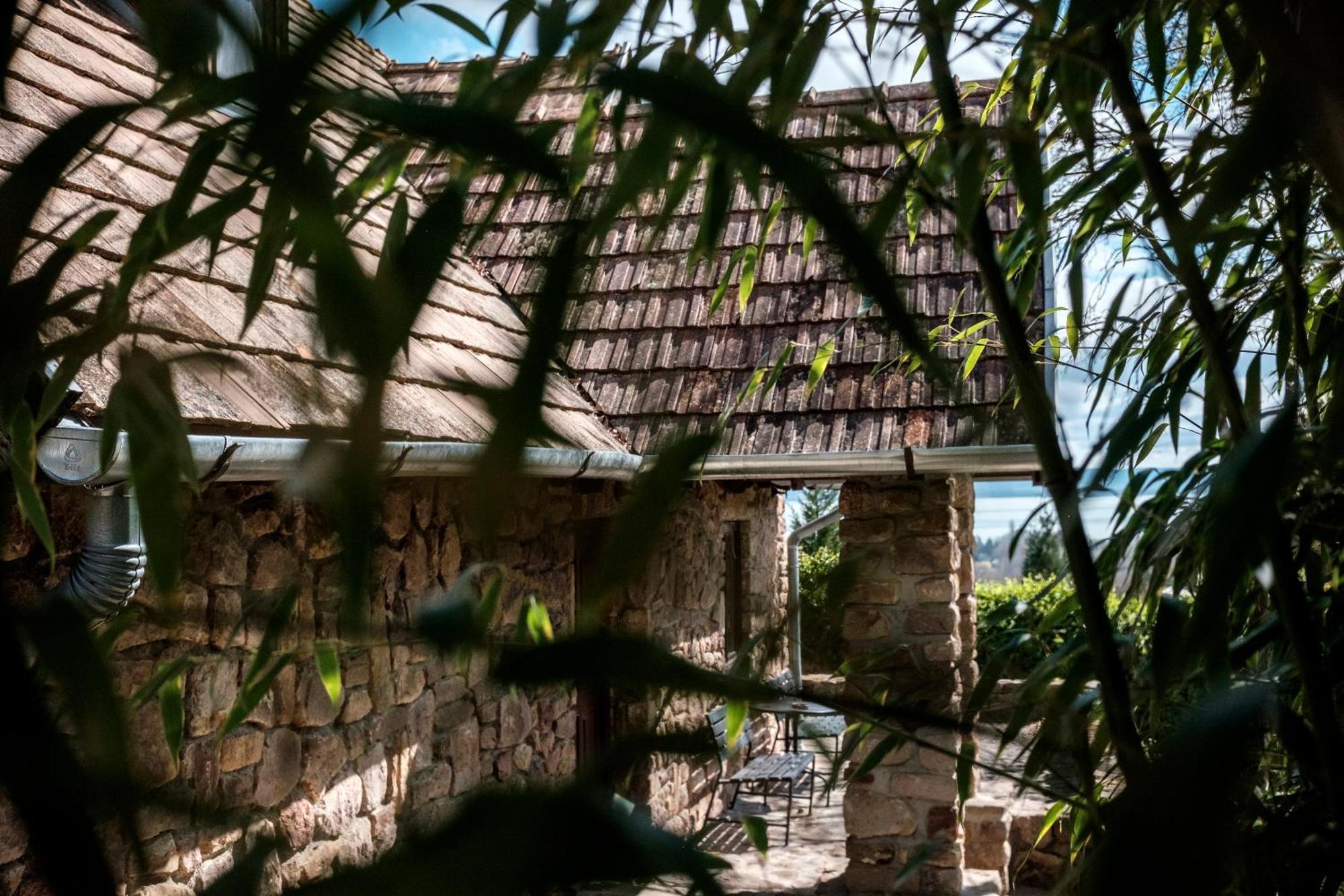 فيلا Abrahamhegyi Panorama Hideout المظهر الخارجي الصورة